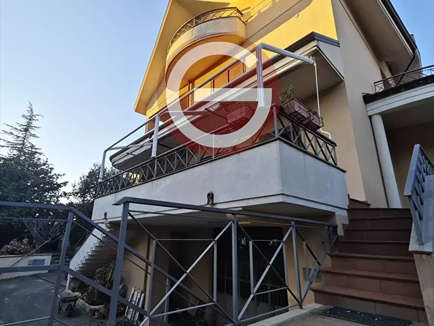 Immagine 3 di Villa in vendita  a Cittanova