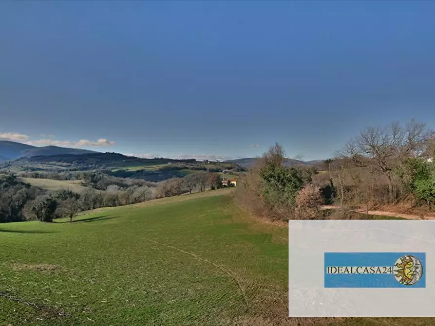 Immagine 9 di Terreno agricolo in vendita  in camporotondo di fiastrone c.da colvenale n. 7  a Camporotondo Di Fiastrone