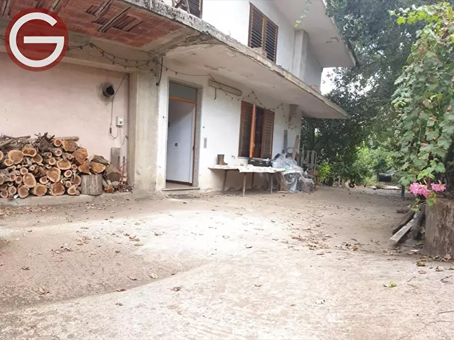 Immagine 2 di Casa indipendente in vendita  a Taurianova