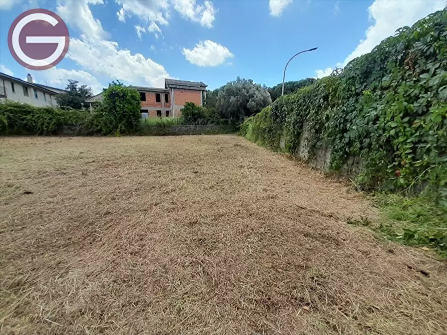 Immagine 6 di Terreno edificabile in vendita  a Taurianova