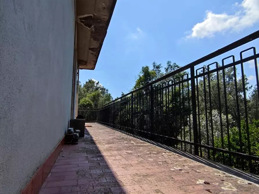 Immagine 17 di Appartamento in vendita  a Cittanova