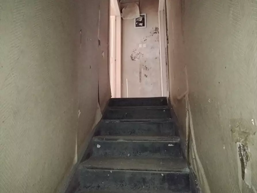 Immagine 5 di Casa indipendente in vendita  a Cittanova