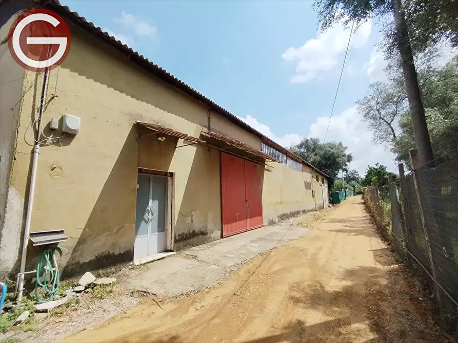 Immagine 3 di Capannone industriale in affitto  a Taurianova