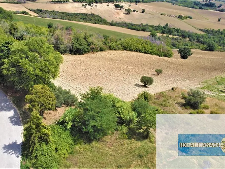 Immagine 15 di Terreno edificabile in vendita  a Treia