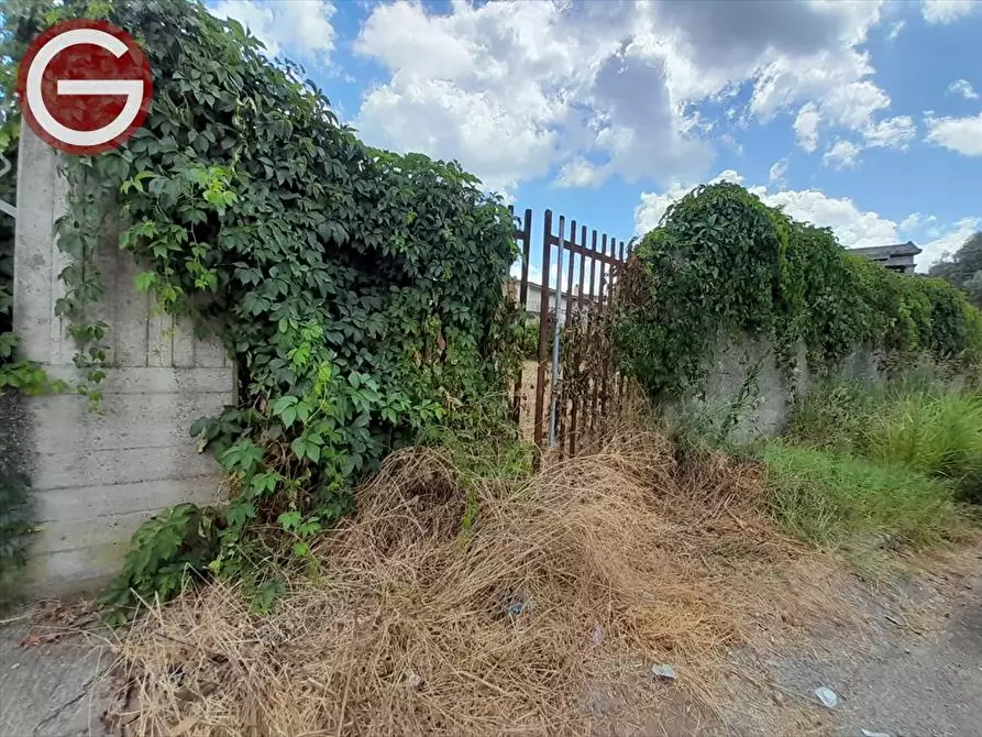 Immagine 2 di Terreno edificabile in vendita  a Taurianova