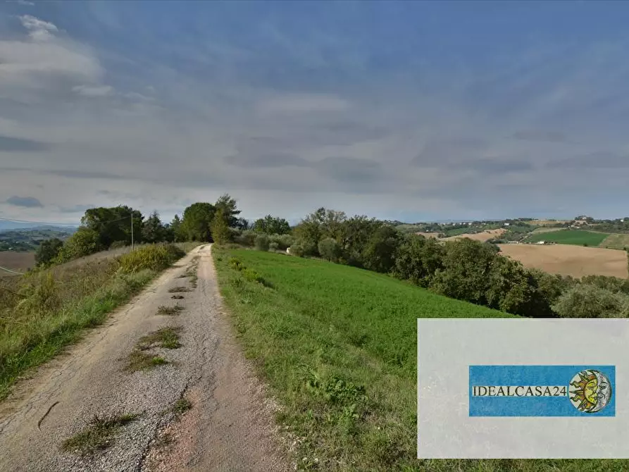 Immagine 29 di Terreno agricolo in vendita  in Corridonia Contrada Ponte tavola a Corridonia