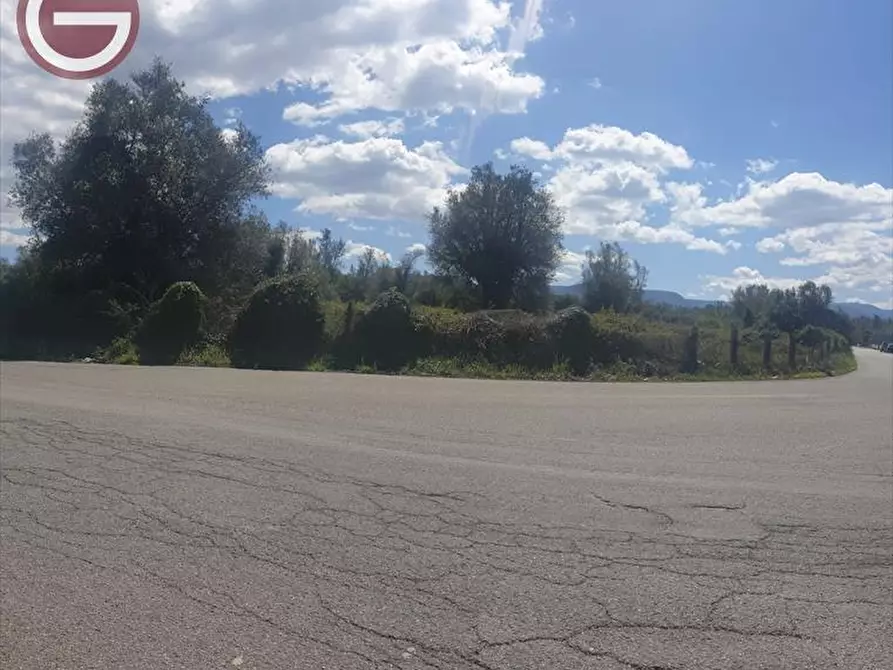 Immagine 2 di Terreno agricolo in vendita  a Taurianova