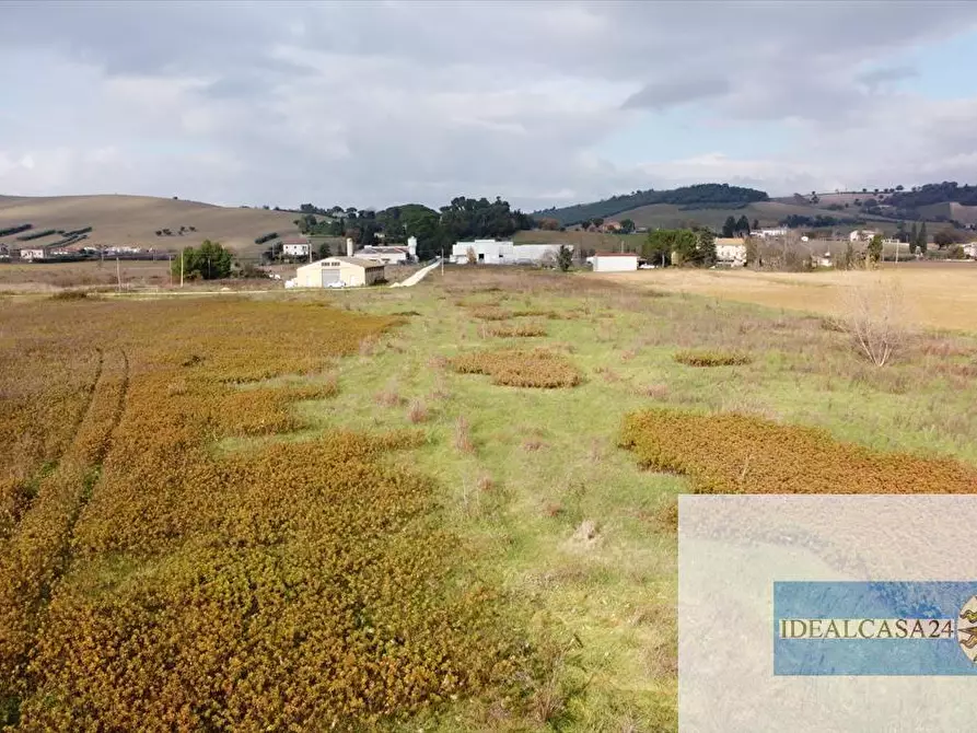 Immagine 20 di Terreno agricolo in vendita  in Treia C.da Chiaravalle snc a Treia