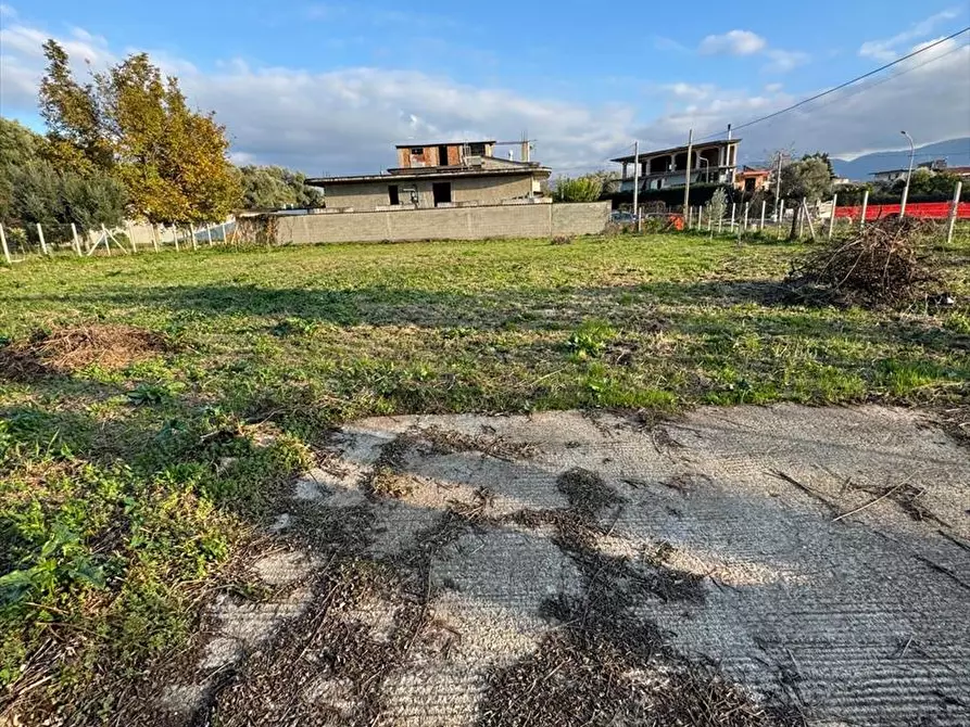 Immagine 7 di Terreno edificabile in vendita  a Taurianova