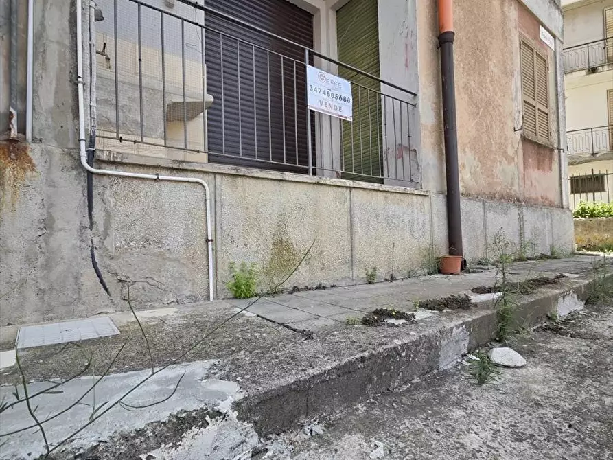 Immagine 2 di Appartamento in vendita  a Cittanova