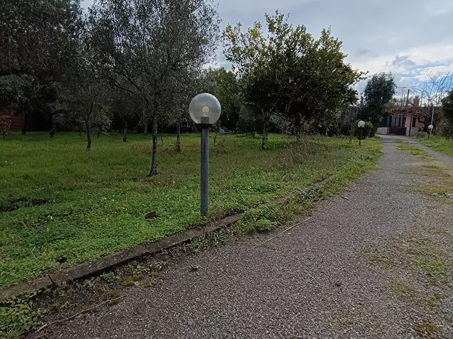Immagine 17 di Abitazione tipica in affitto  a Taurianova