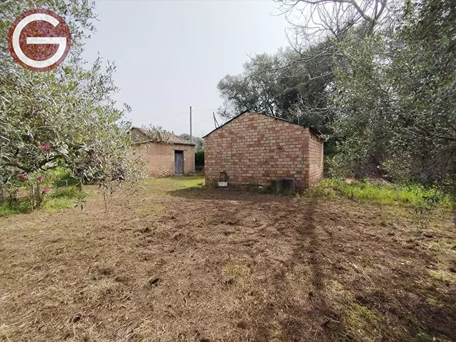 Immagine 2 di Terreno edificabile in vendita  a Taurianova