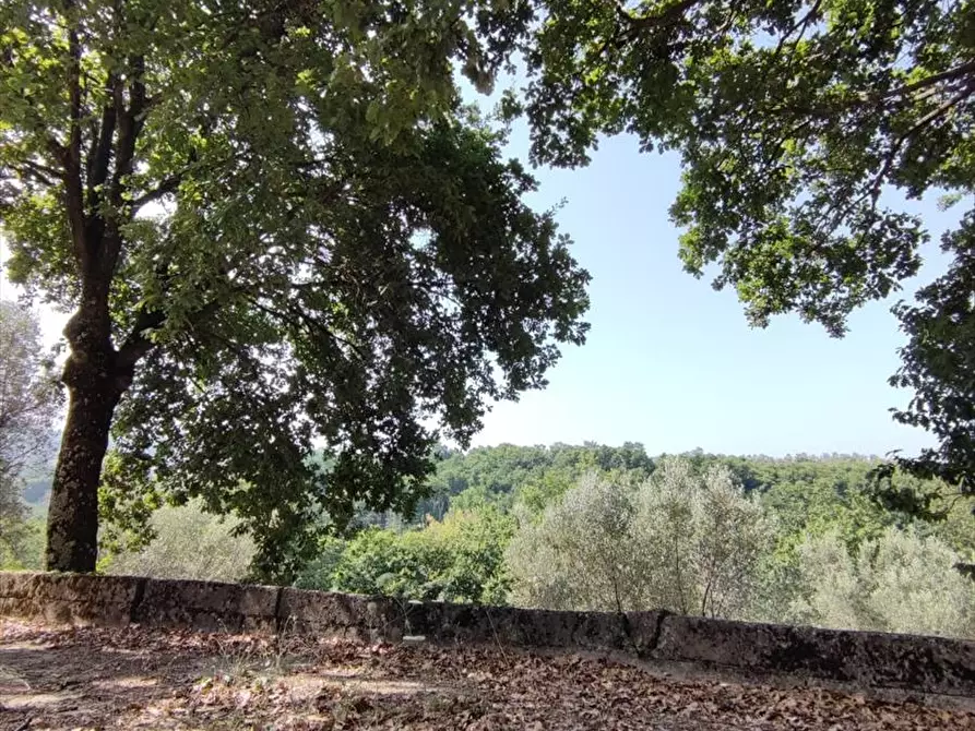 Immagine 10 di Terreno agricolo in vendita  a San Giorgio Morgeto
