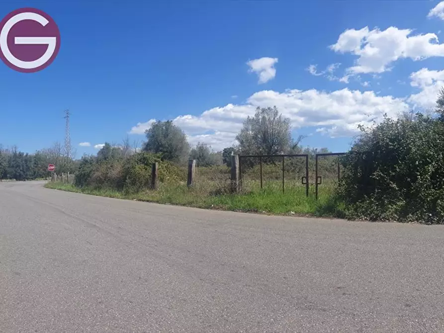 Immagine 1 di Terreno agricolo in vendita  a Taurianova