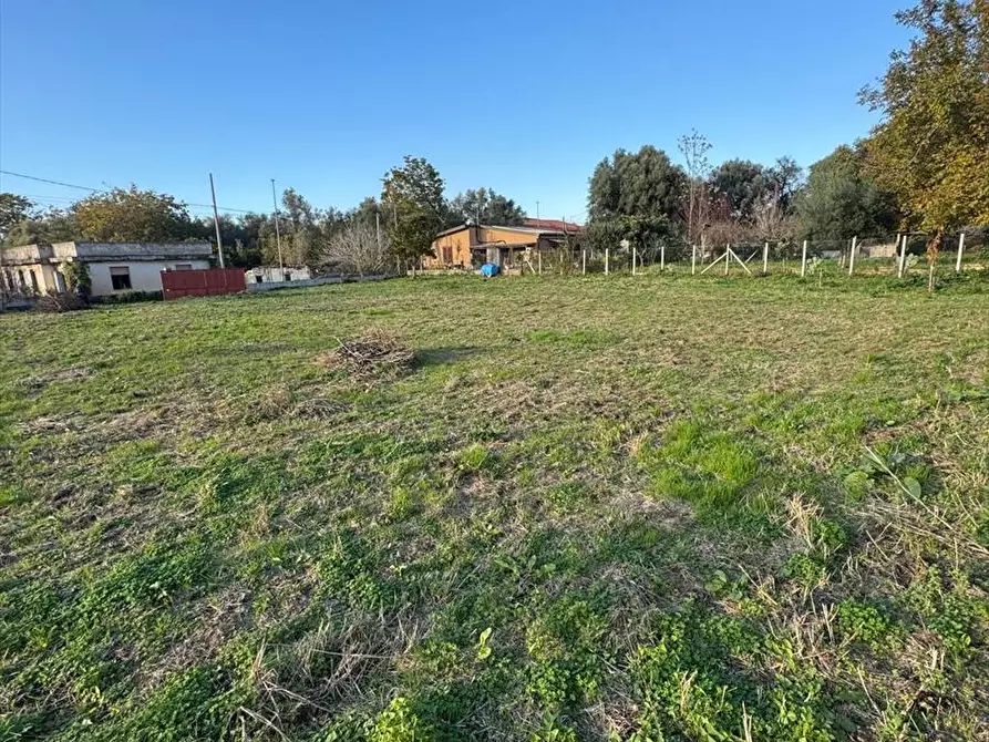 Immagine 11 di Terreno edificabile in vendita  a Taurianova