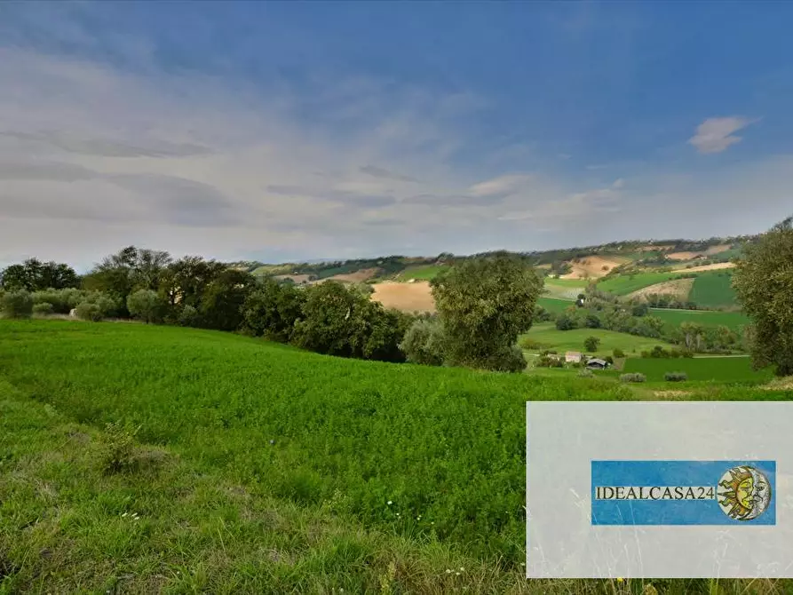 Immagine 21 di Terreno agricolo in vendita  in Corridonia Contrada Ponte tavola a Corridonia
