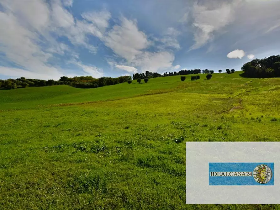 Immagine 19 di Terreno agricolo in vendita  in Corridonia Contrada Ponte tavola a Corridonia