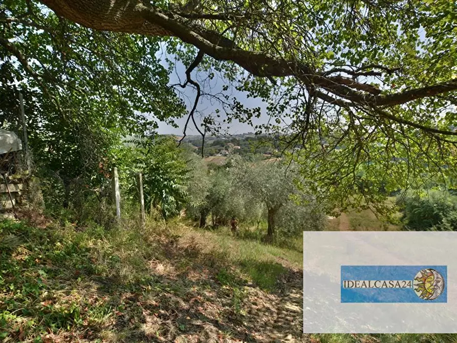 Immagine 4 di Casa indipendente in vendita  in C.da Santo Stefano 35 a Macerata