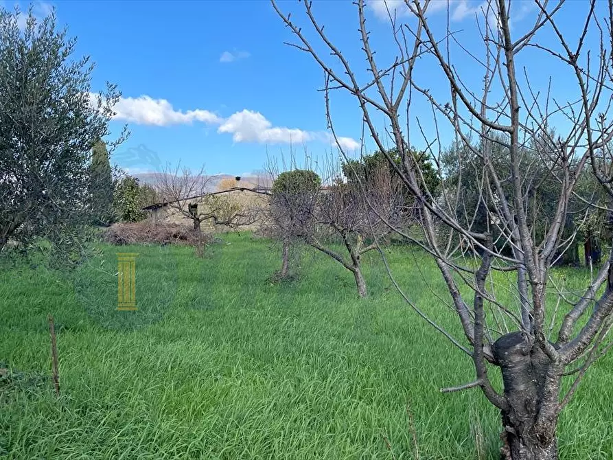 Immagine 5 di Rustico / casale in vendita  in Via San Nicola 74 a Velletri