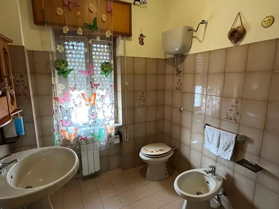 Immagine 12 di Appartamento in vendita  a Cittanova