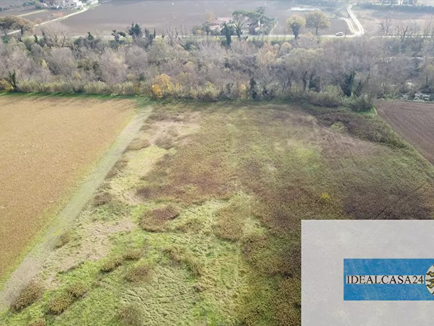 Immagine 5 di Terreno agricolo in vendita  in Treia C.da Chiaravalle snc a Treia