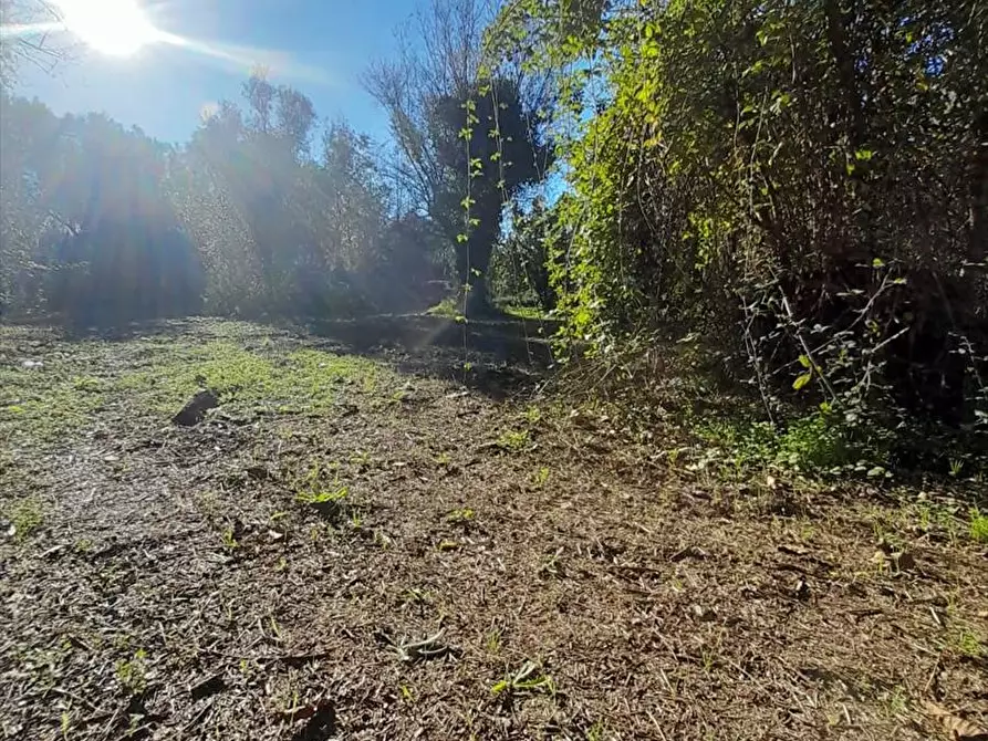 Immagine 5 di Terreno edificabile in vendita  a Taurianova