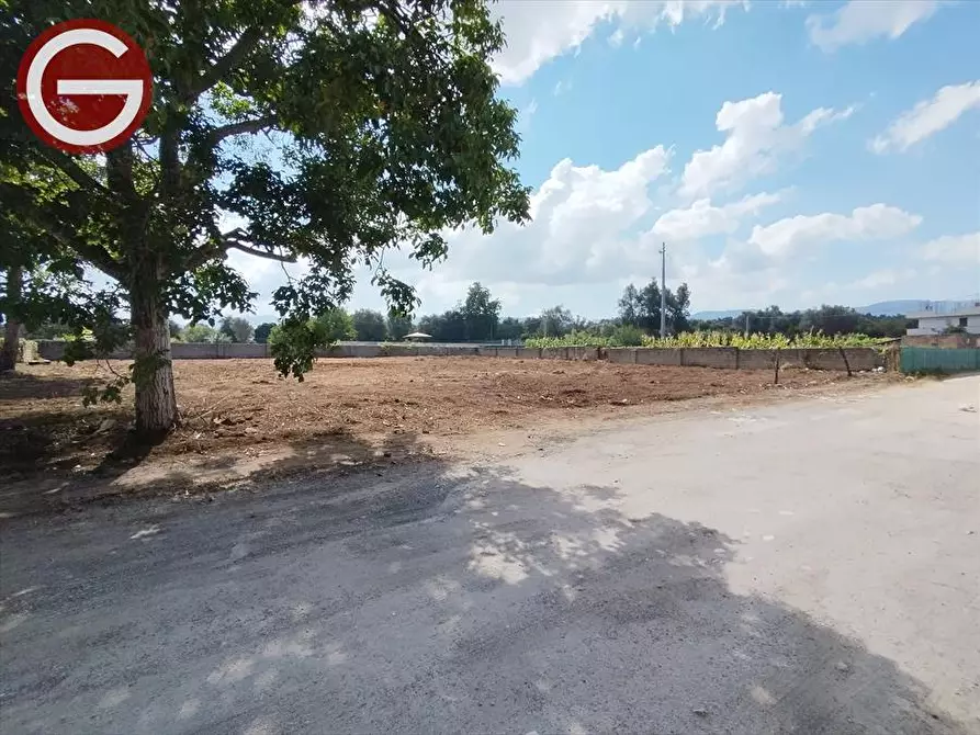 Immagine 2 di Terreno edificabile in vendita  a Taurianova
