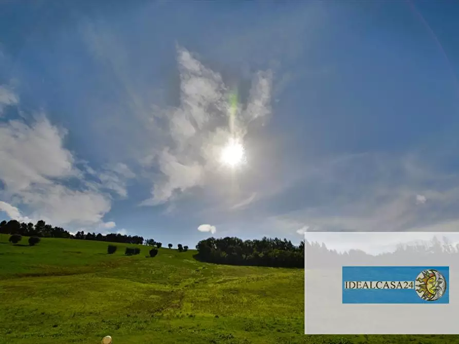 Immagine 16 di Terreno agricolo in vendita  in Corridonia Contrada Ponte tavola a Corridonia