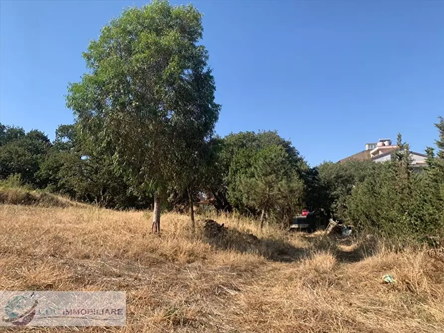 Immagine 7 di Terreno edificabile in vendita  in Viale delle Querce  a Valledolmo