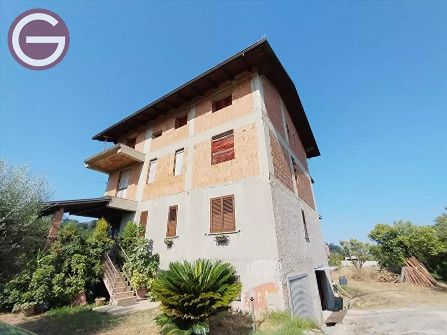 Immagine 5 di Rustico / casale in vendita  a San Giorgio Morgeto