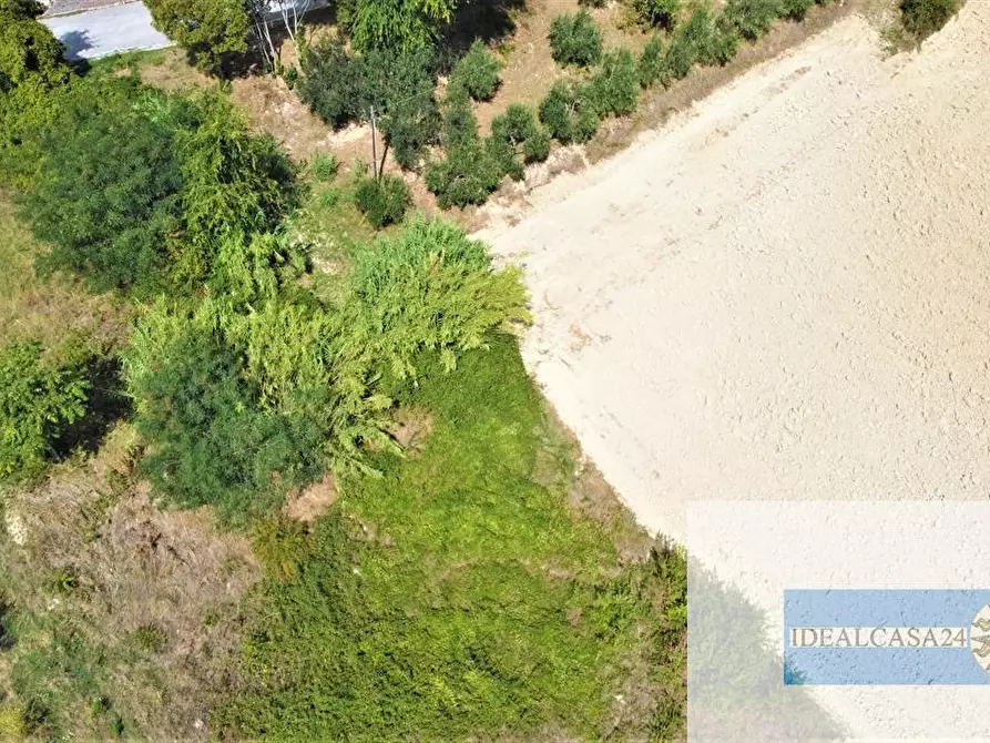 Immagine 18 di Terreno edificabile in vendita  a Treia