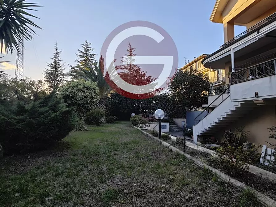 Immagine 4 di Villa in vendita  a Cittanova