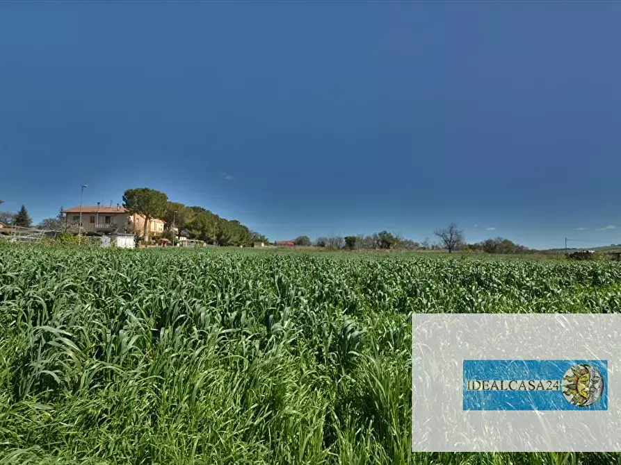 Immagine 22 di Terreno edificabile in vendita  in Tolentino Via Marco Biagi  a Tolentino