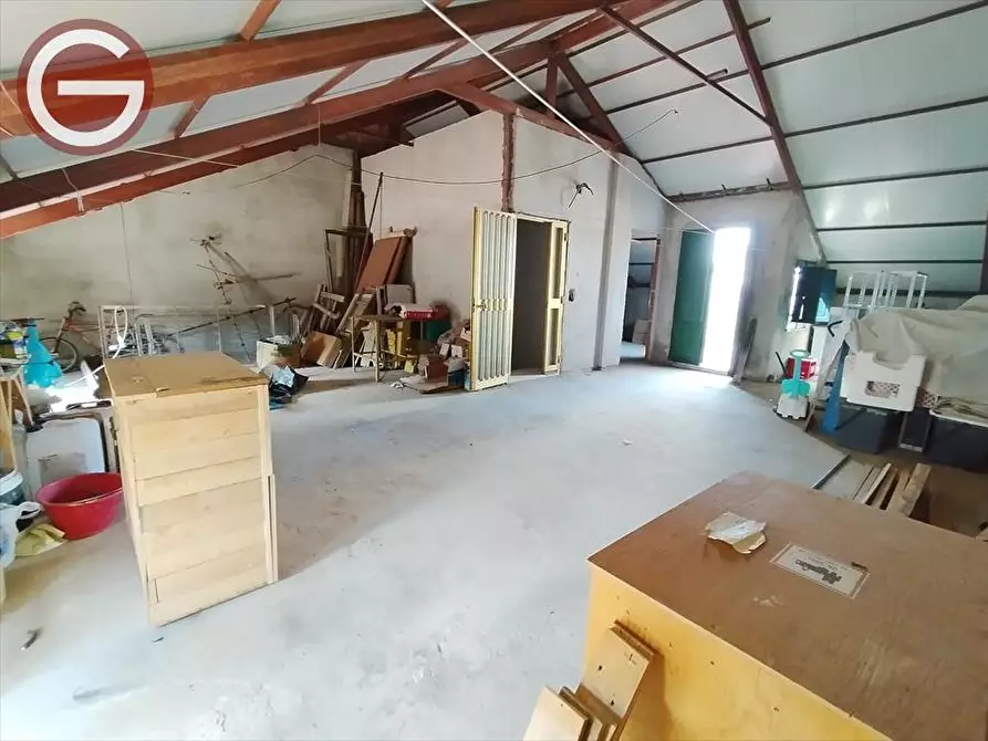 Immagine 6 di Appartamento in vendita  a Cittanova