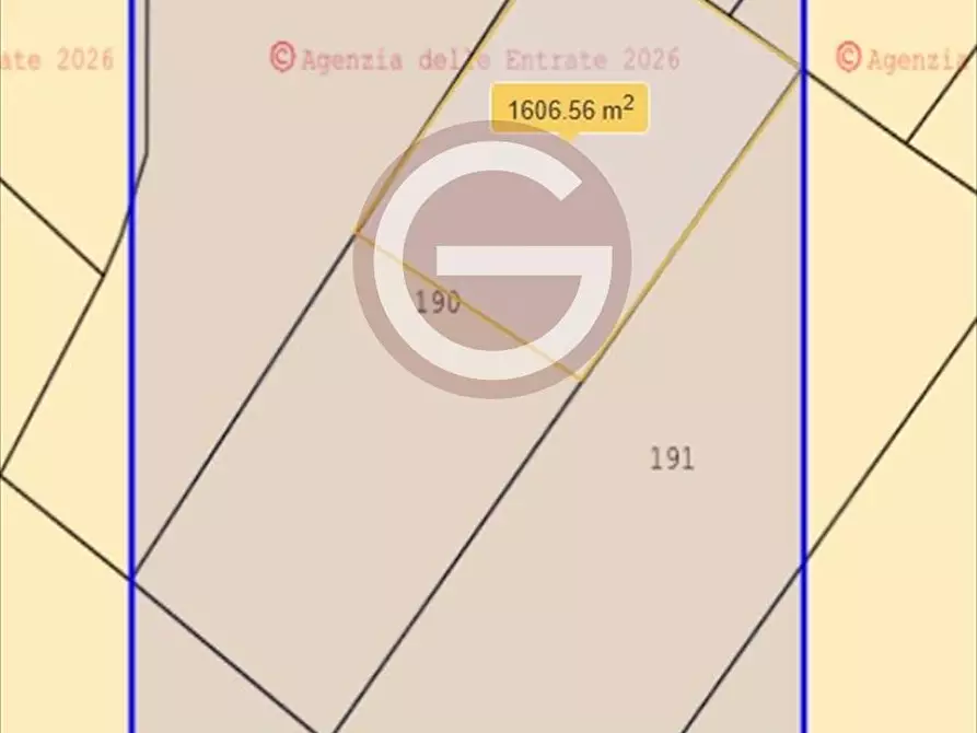 Immagine 2 di Terreno agricolo in vendita  a Taurianova