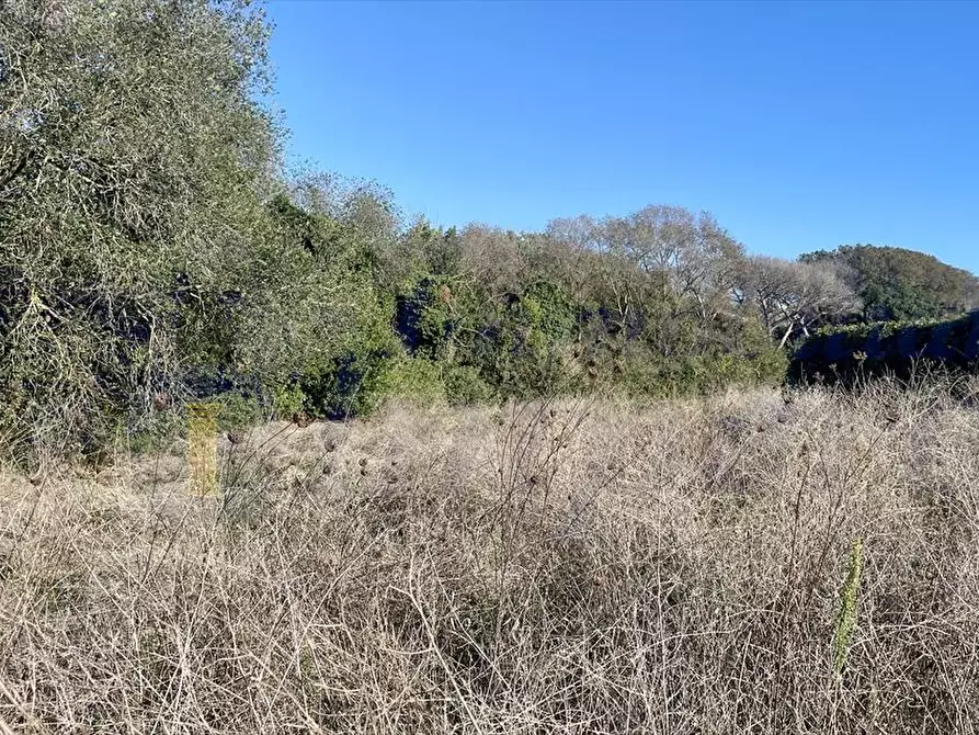 Immagine 5 di Terreno agricolo in vendita  in Via dei Rutuli a Aprilia