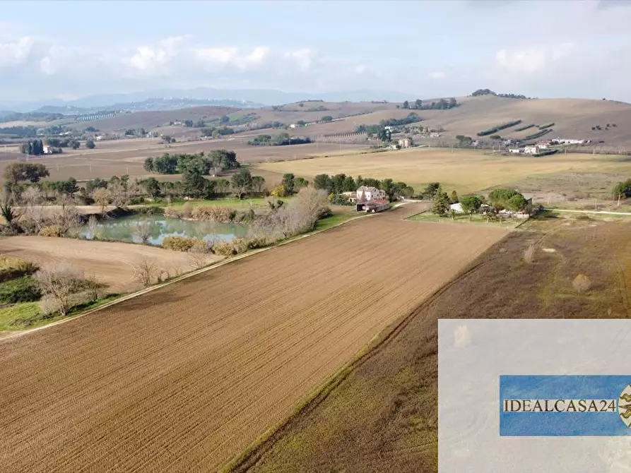 Immagine 14 di Terreno agricolo in vendita  in Treia C.da Chiaravalle snc a Treia