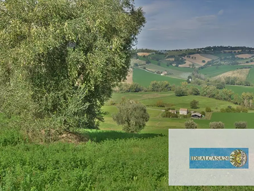 Immagine 27 di Terreno agricolo in vendita  in Corridonia Contrada Ponte tavola a Corridonia