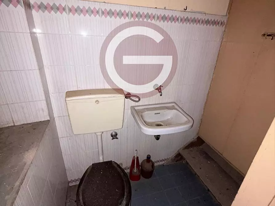 Immagine 14 di Casa indipendente in vendita  a Cittanova