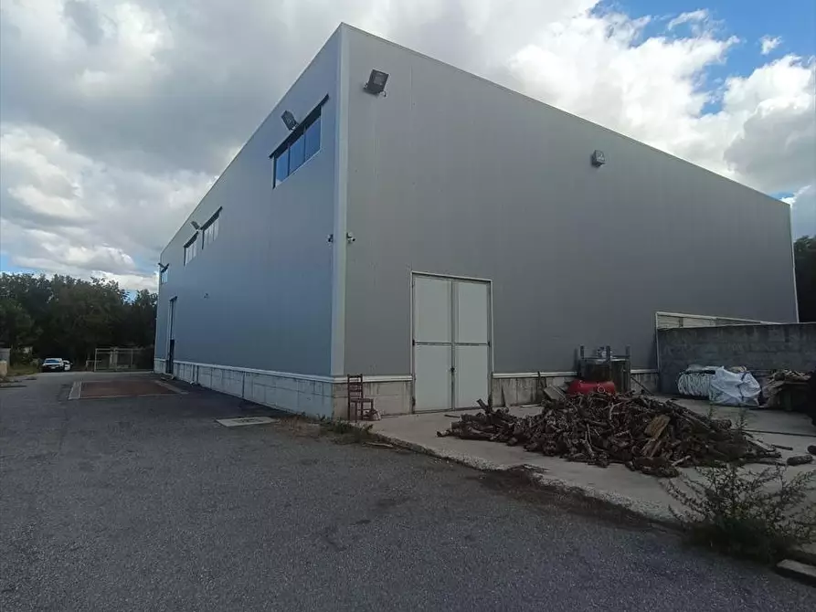 Immagine 1 di Capannone industriale in affitto  a Taurianova