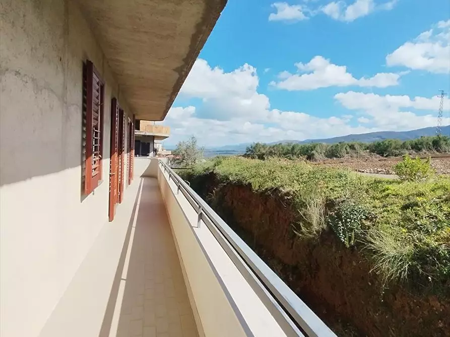 Immagine 21 di Casa indipendente in vendita  a Molochio