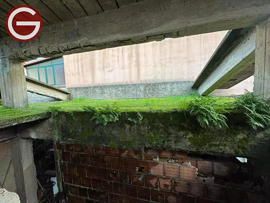 Immagine 18 di Villa in vendita  a Taurianova