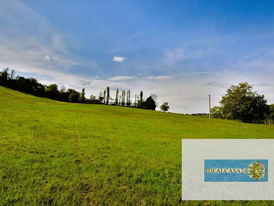 Immagine 14 di Terreno agricolo in vendita  in Corridonia Contrada Ponte tavola a Corridonia