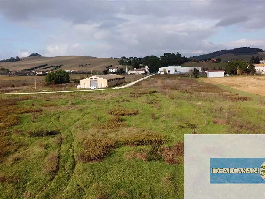 Immagine 21 di Terreno agricolo in vendita  in Treia C.da Chiaravalle snc a Treia