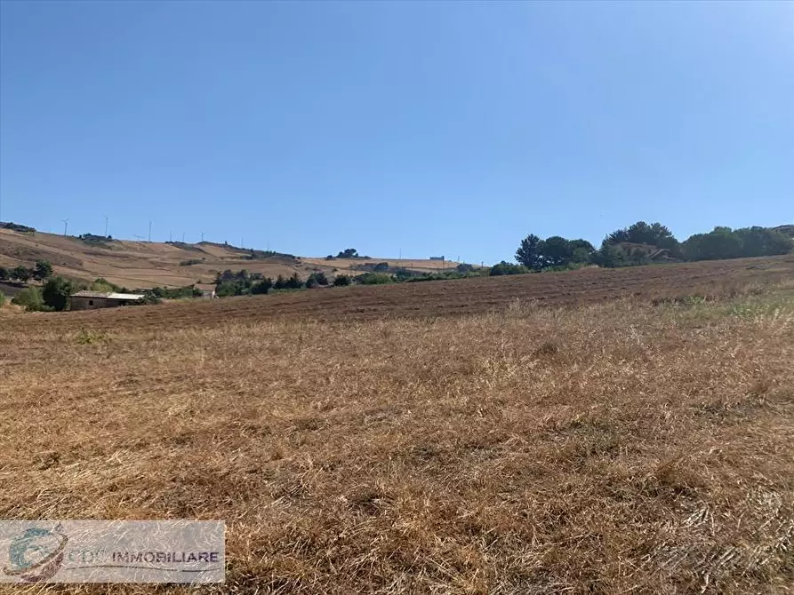 Immagine 6 di Terreno edificabile in vendita  in Viale delle Querce  a Valledolmo