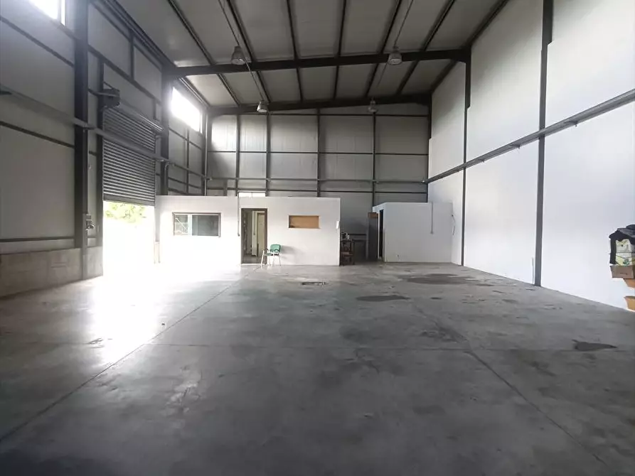 Immagine 6 di Capannone industriale in affitto  a Taurianova