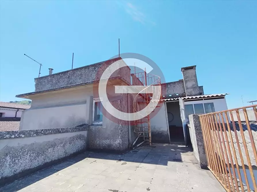 Immagine 30 di Palazzo in vendita  a Cittanova