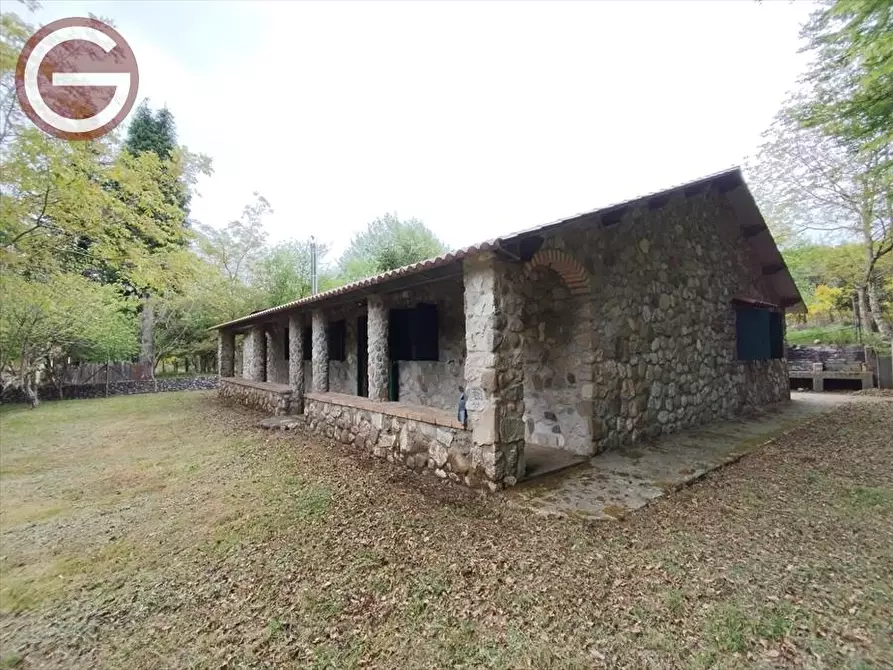 Immagine 22 di Casa indipendente in vendita  a Molochio