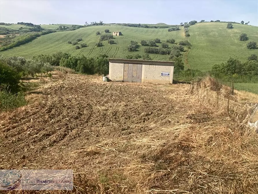 Immagine 2 di Terreno agricolo in vendita  in ss 189 a Lercara Friddi