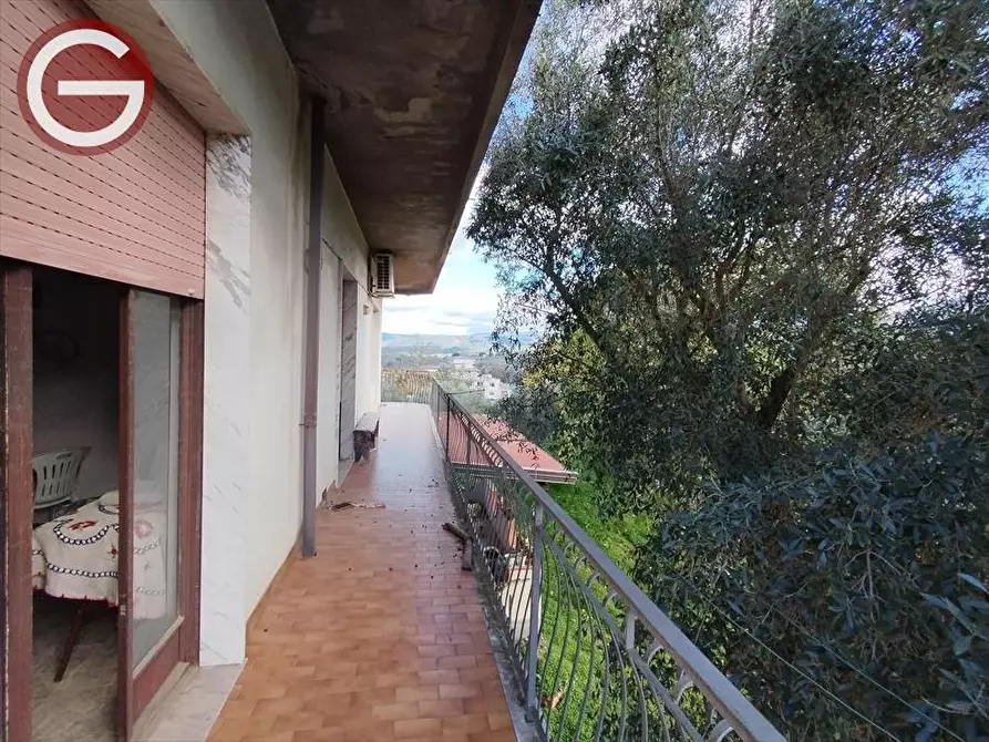 Immagine 17 di Appartamento in vendita  a Cinquefrondi